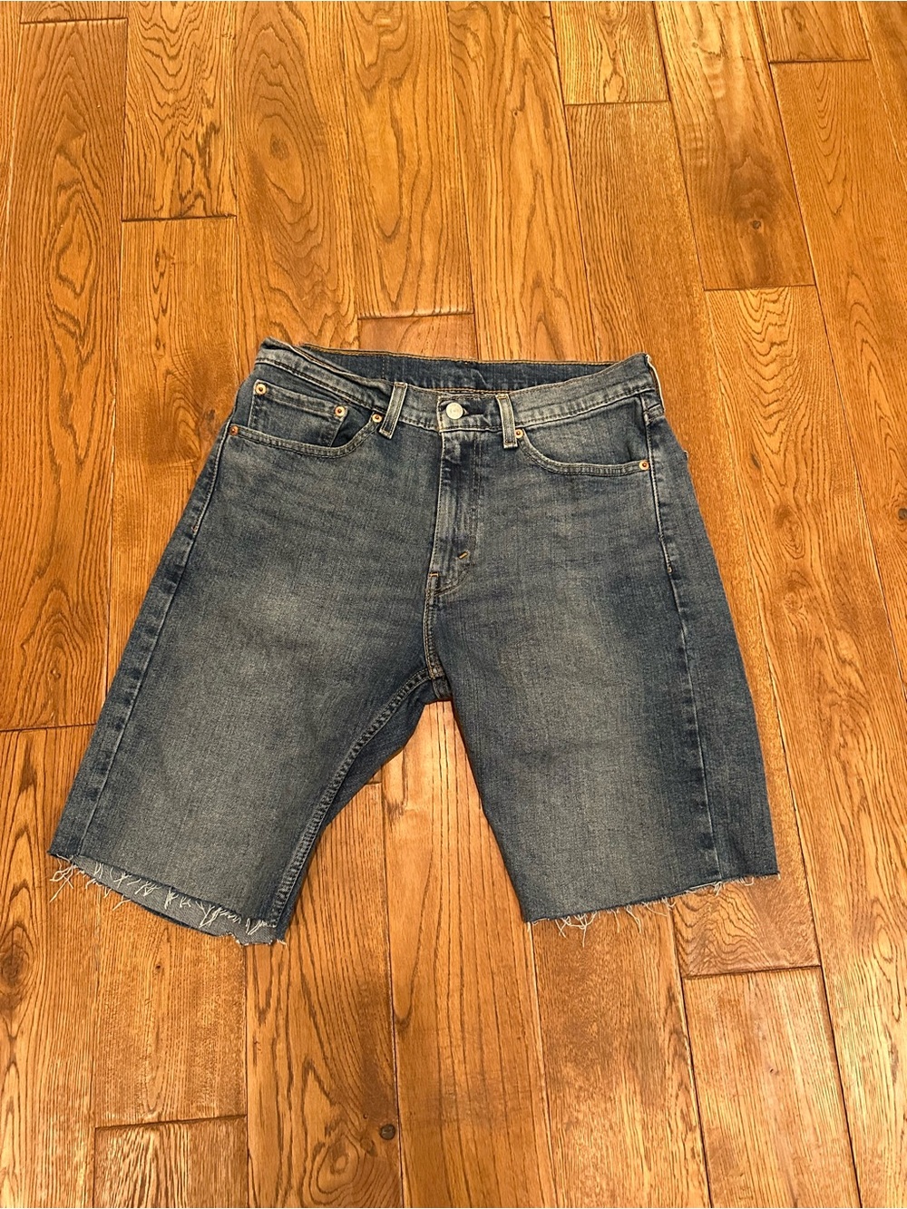 Levi's Denim Jean Shorts in Blue
